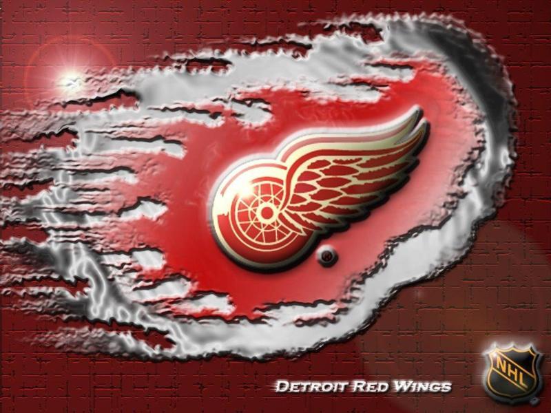 go RED WINGS